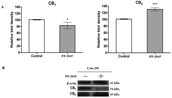 Figure 4.tif