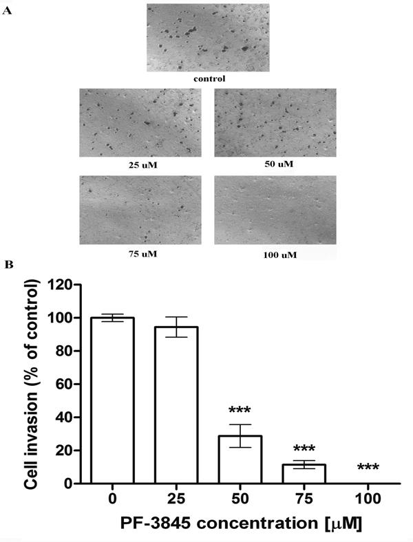 Figure 6.tif