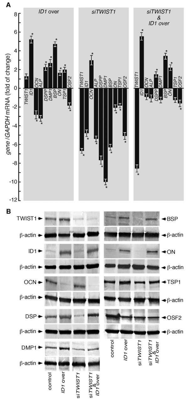 Fig 2.tiff