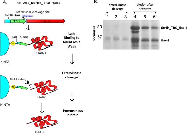 Figure 2.TIF