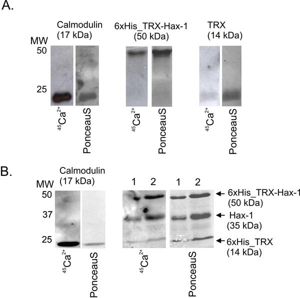 Figure 3.TIF