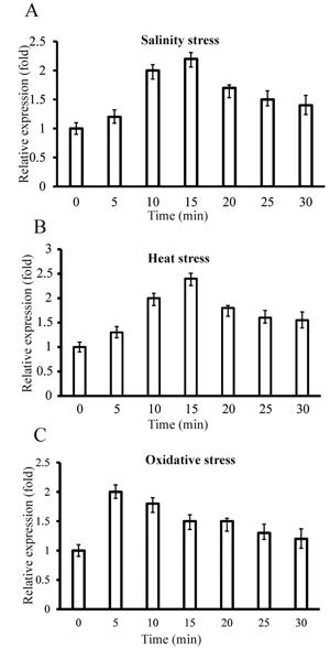 Fig5.tif