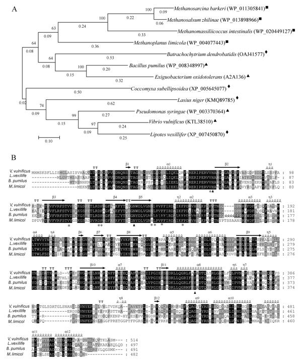 Fig1.tif