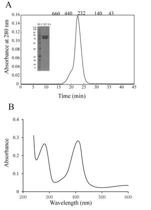 Fig2.tif