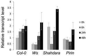 Figure 4.tif