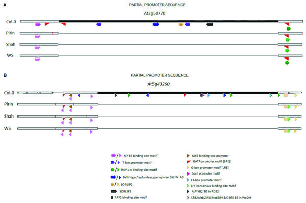 Figure 3.tif