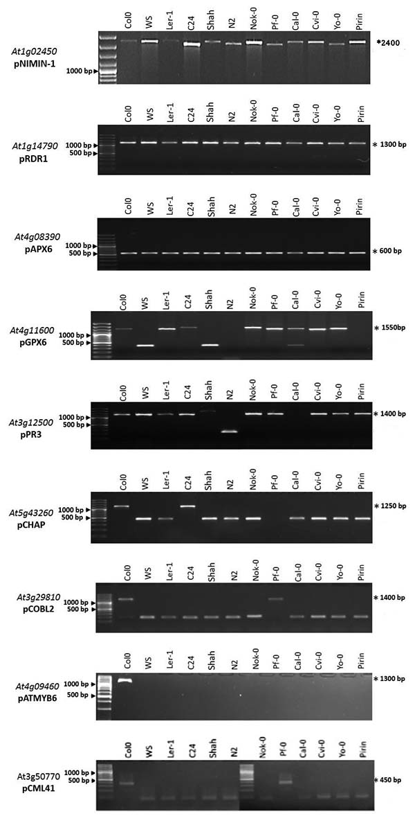 Figure 1.tif