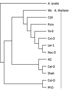 Figure 2.tif