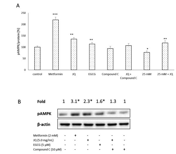 Figure 3.tif