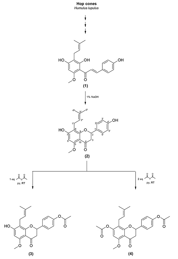 Stompor et al_ABP_Scheme 1.tif