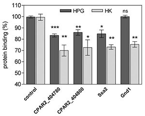 Fig. 4.tif