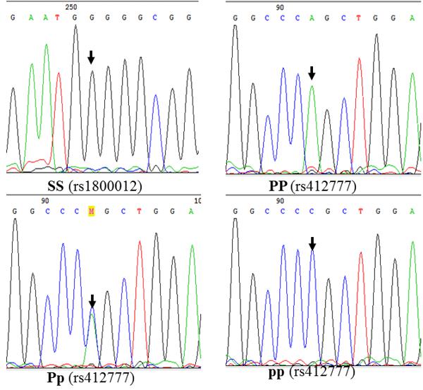 Figure 1_ABP_2018_ALS_corrected.tif