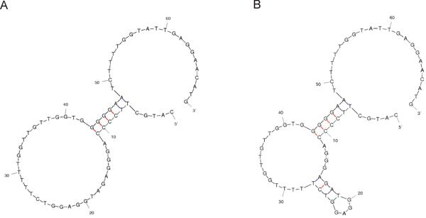 fig6.tif