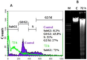 Fig. 4.tif