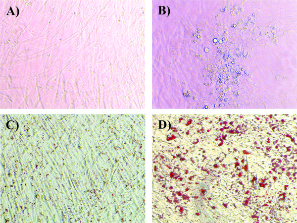 Fig1.tif