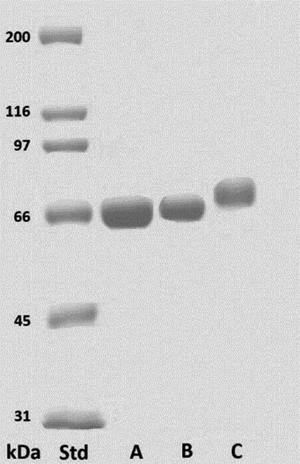 Fig. 1.tif