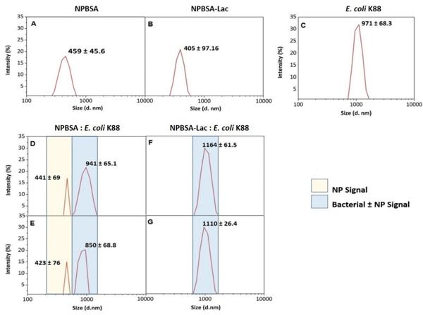 Fig. 6.tif