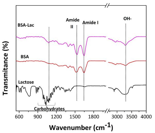 Fig. 3.tif