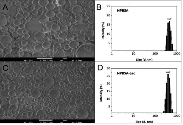 Fig. 4.tif