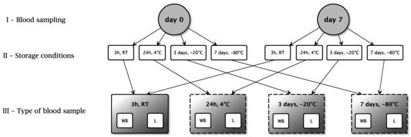 Figure 1.jpg