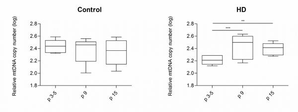 Figure 3.jpg