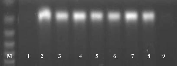 Fig.2.tiff