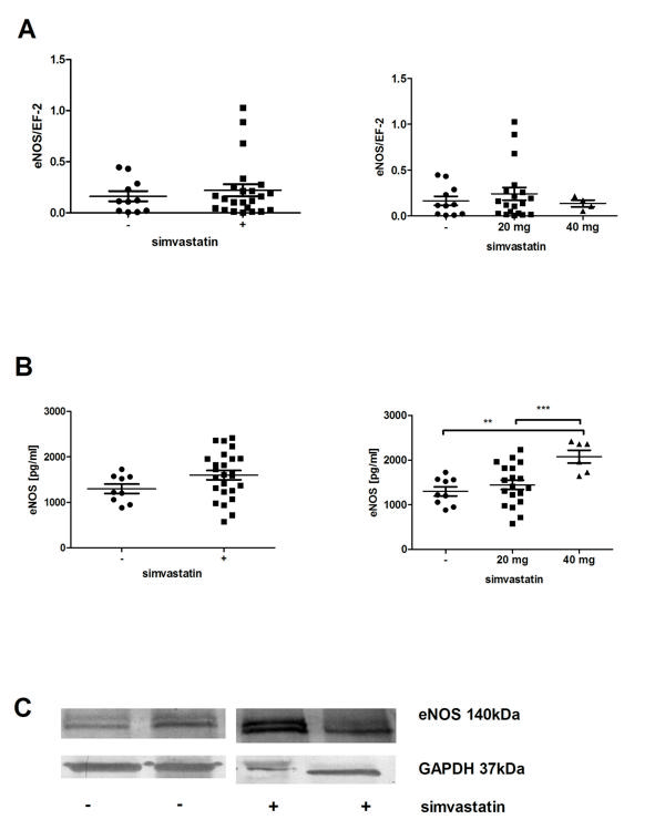 Figure 2.tif