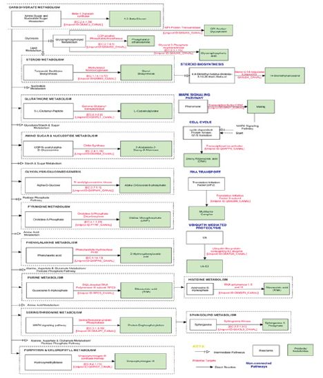 Figure 5. Indicated pathways analysis of Candida albicans.tif