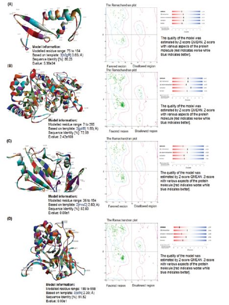 Figure 6. Top Four predicted protein models by Swiss-Model server.tif