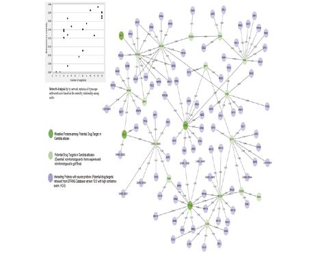 Figure 3. Protein interaction network.tif