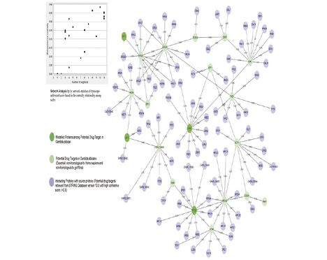 Figure 3. Protein interaction network.tif