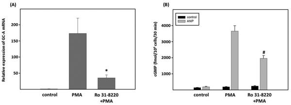 fig2.tif