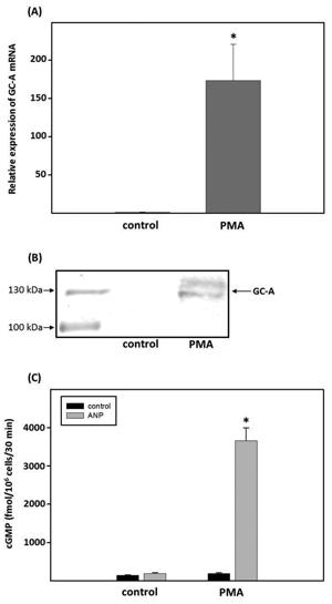 fig1.tif