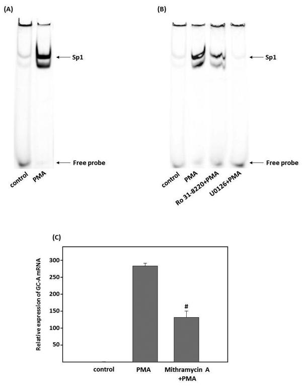 fig4.tif