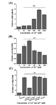 Figure 2.tif