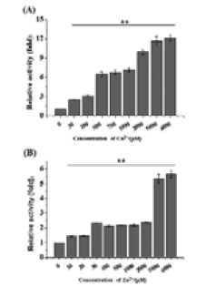 Figure 4.tif