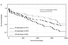 Figure 4B.psd