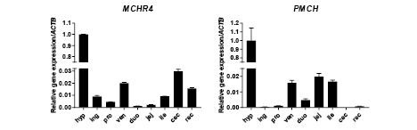 Figure 1.eps