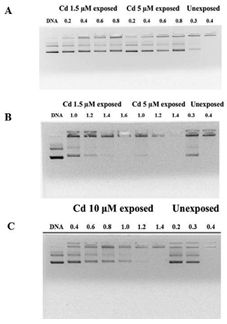 fig. 9.tif