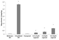 Fig. 1.tif