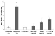 Fig. 2.tif