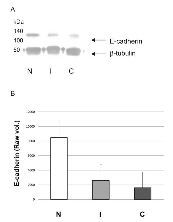 Figure 2.TIF