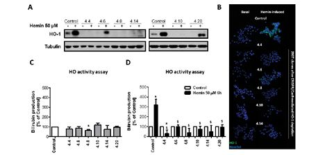 Fig. 7.TIF