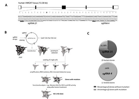 Fig. 5.TIF