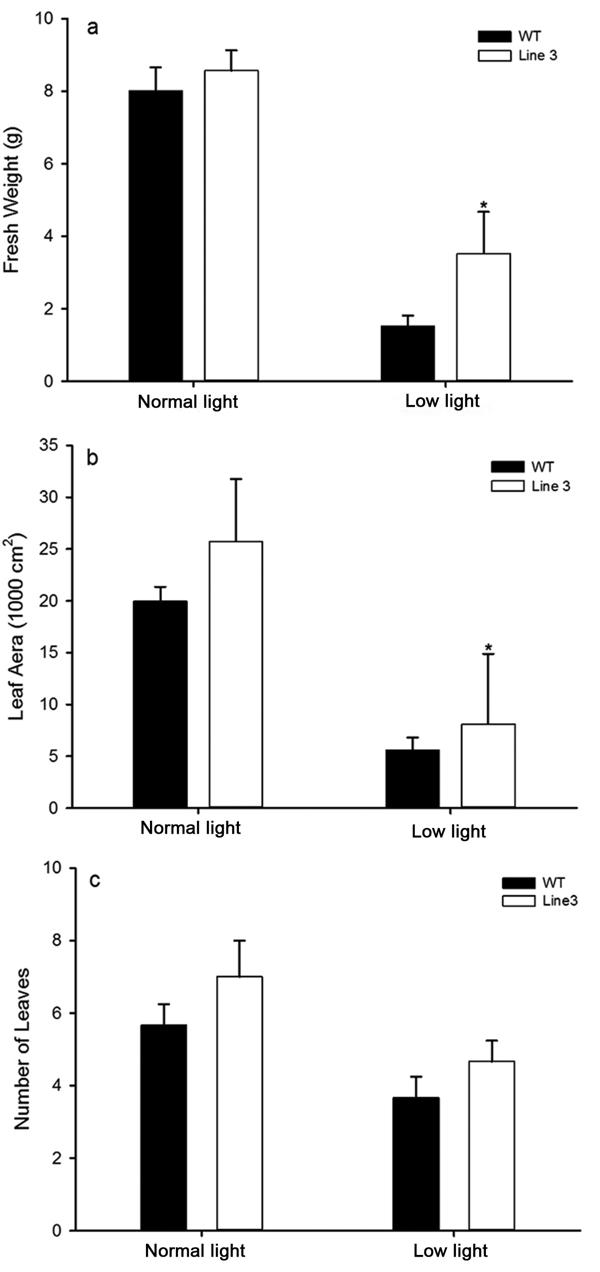 fig2.tif