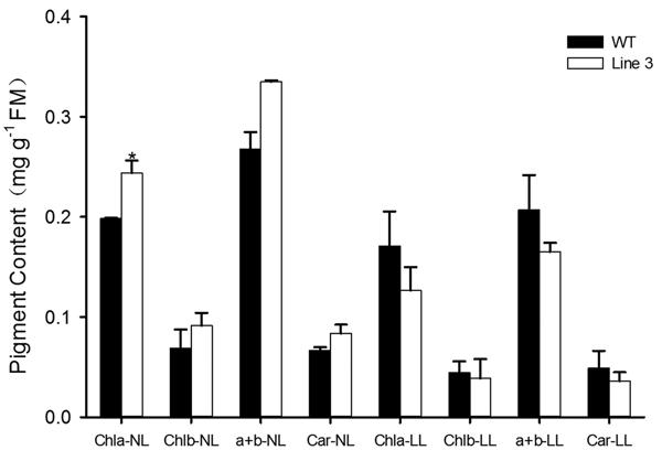 fig5.tif