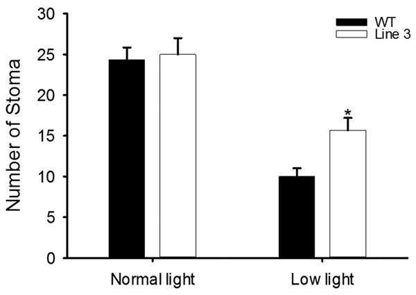 fig3.tif