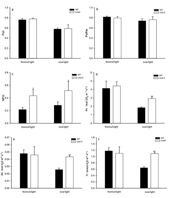 fig4.tif