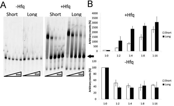 Fig5.tif