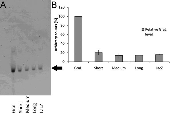 Fig3.tif